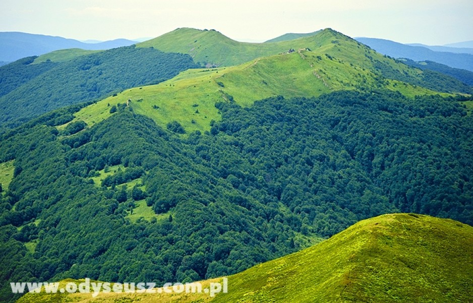 Bieszczady - Połonina Caryńska