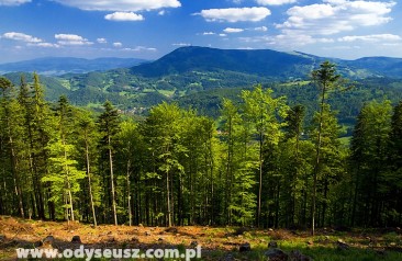 Beskidy - widok na Skrzyczne