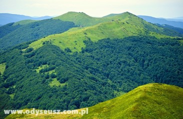 Bieszczady - Połonina Caryńska