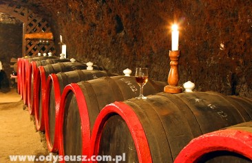 Tokaj - piwnice winne